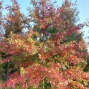 신계초등학교 병설유치원 이미지