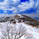 최고봉당구장 Daum카페
