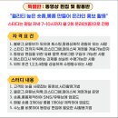 블로그제작&활용반 이미지