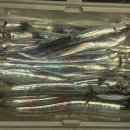 6월21~22일 토,일요일, 여수 뉴패밀리호 선단 갈치 조황. 이미지