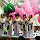 용운태권도 이미지