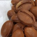 커피콩