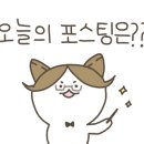 세수대야돈까스 이미지