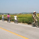 황금빛 출렁이는 들녘 ‘바람’ 삼아 코스모스 손잡고 달리는 자전거길(한겨레신문) 이미지