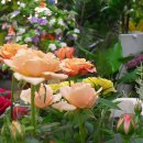 지하상가A 이미지