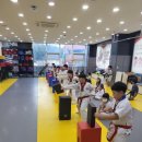 점프윙스태권도장 이미지