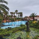 팜밸리리조트 이미지