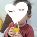 도라지 | 요미요미 배도라지 후기(솔직 후기)