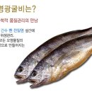 영광(아) 이미지
