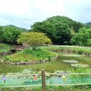 쌍봉사 사적비 이미지