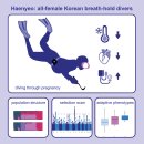 육지&해녀 이미지