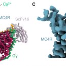 시장이 반찬이다 이미지