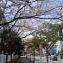 김정문화로 이미지