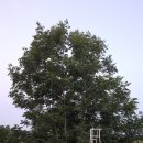 약대농장 이미지