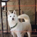 오구오구 이미지