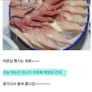 꼬모안경