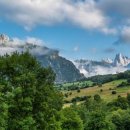 가축인공수정소 이미지