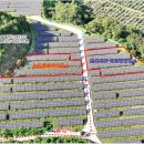 제원 태양광발전소 이미지