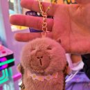 TOY인형뽑기 이미지