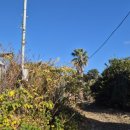 백록정궁도장 이미지