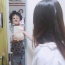 로뎀나무5