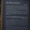나우비 | 비 오는 날 제주 비자림 오후 산책 후기 나우다 관광증 사용!🌿