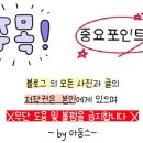 보리버블 | 더마라인 버블토너 사용후기