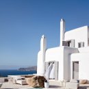 화이트하우스 이미지