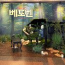 서울시세종문화회관 | [서울/세종문화회관] 뮤지컬 베토벤 박효신(대장) 관람 후기 1층 B열 63번 시야 꿀팁