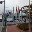 신호민원센터 Daum카페