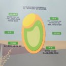 고금농협 | [K-라이스페스타] #9. 11월 28일 K라이스페스타 참관 후기