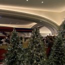 김수사 | 하우스오브 신세계 맛집 김수사 신세계 강남점 주말 디너 오픈런 후기!