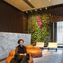 도연부동산공인중개사사무소 이미지