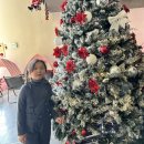 남대구제일정비 | 청도 눈썰매장 무아마운틴파크 12월27일 오픈런 후기