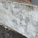 야밤포차&야밤치킨 | 2025.10