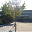 고척초등학교 이미지