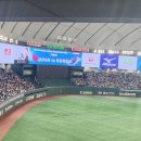 [도쿄/DAY2] 오따꾸 거리 찍먹하고 APBC 결승 직관하기⚾️