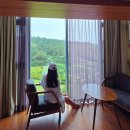 CU 탄현동문10단지점 | 제주 5성급 호텔 추천, 제주 위호텔 웰니스 제주도 가성비 호캉스