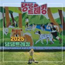 댕댕사우나 | [정선/애견동반]2025 댕댕트레킹(하이캐슬 프라임B(온돌방), 4K)
