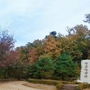 문수산캠핑장 이미지