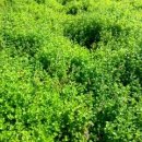 백세튼튼한의원 이미지