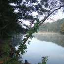 숲속에하루민박 이미지