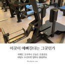 벌크짐 이미지