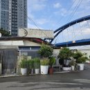 속초 별주부네물곰탕 장치조림 이미지