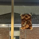 혜원기프트 이미지