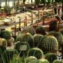 완도수목원 이미지