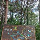 백월산 Daum카페