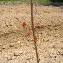 미정농장 이미지