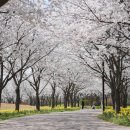 드림파크 이미지