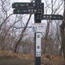불광우리들약국 Daum카페
